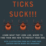 Ticks Found In New England: What They Look Like, Where to Find Them, And How to Protect Your Dog.