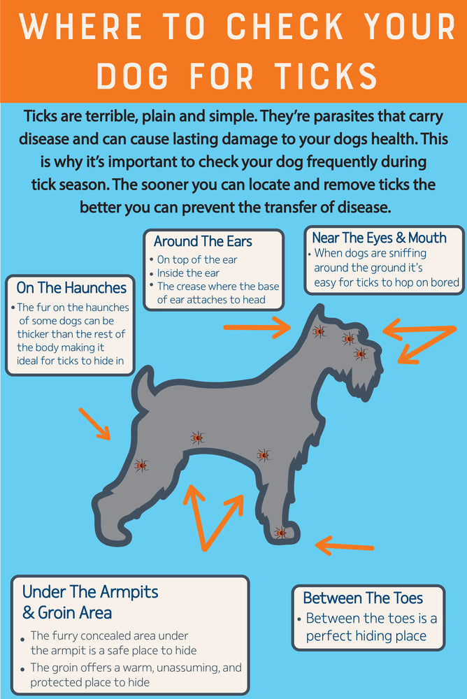 TICK SEASON IS HERE! By Hannah Beringer